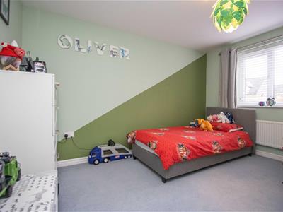 Picture 14